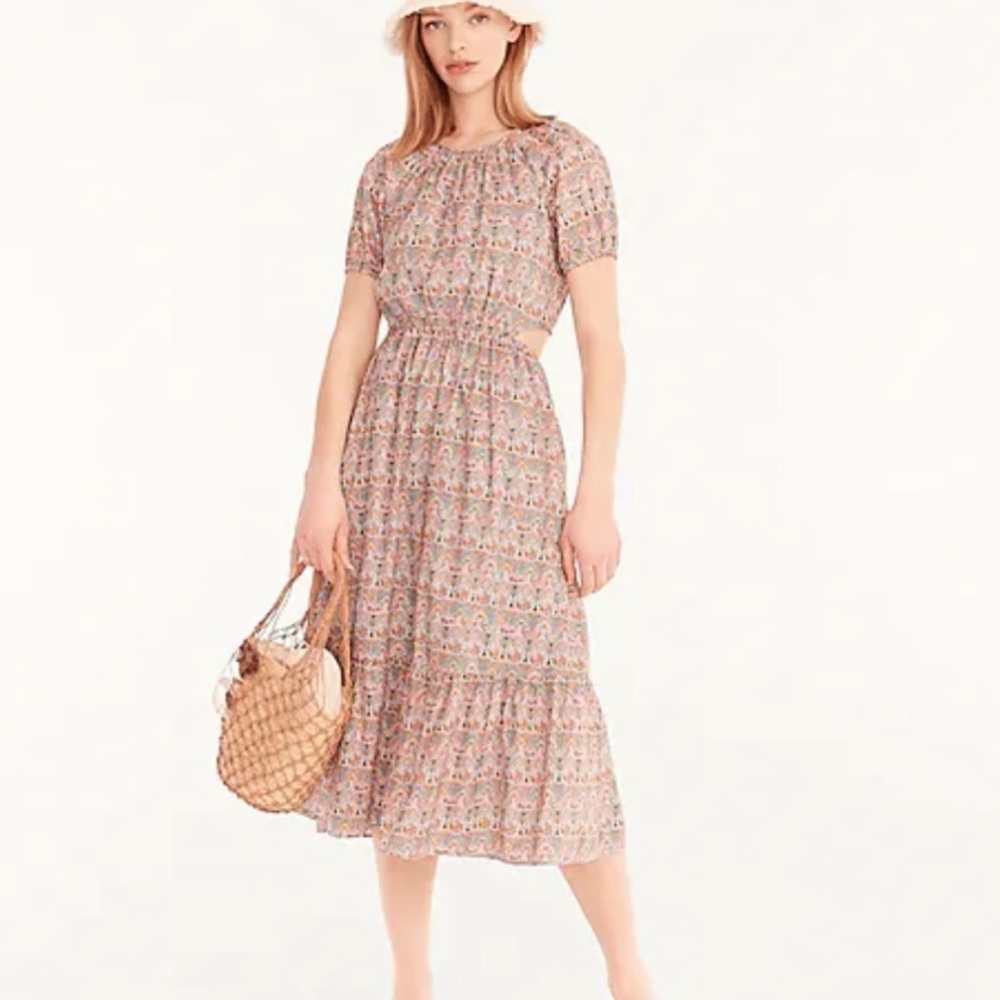 Organic Liberty London for J Crew Georgia Duke Print Dress in Organic Co…